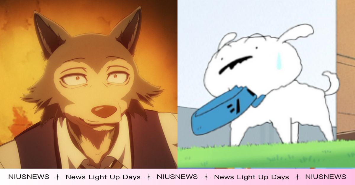 你知道嗎？你不可能把狼養成像狗狗一樣乖 冷知識、 月月、 馴養、 動物