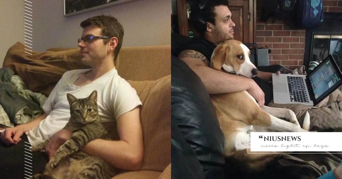 毛小三警報、毛小三警報！寵物變情敵的搞笑特輯 毛小孩、小三、嫉妒、寵物、伴侶