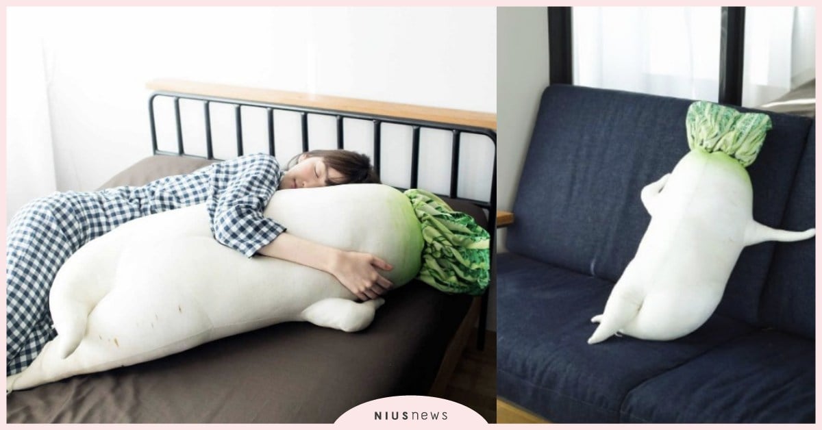 這姿勢太性感我不敢看！115公分的巨型大根抱枕爆笑登場 大根、抱枕、性感、爆笑、枕頭、蘿蔔