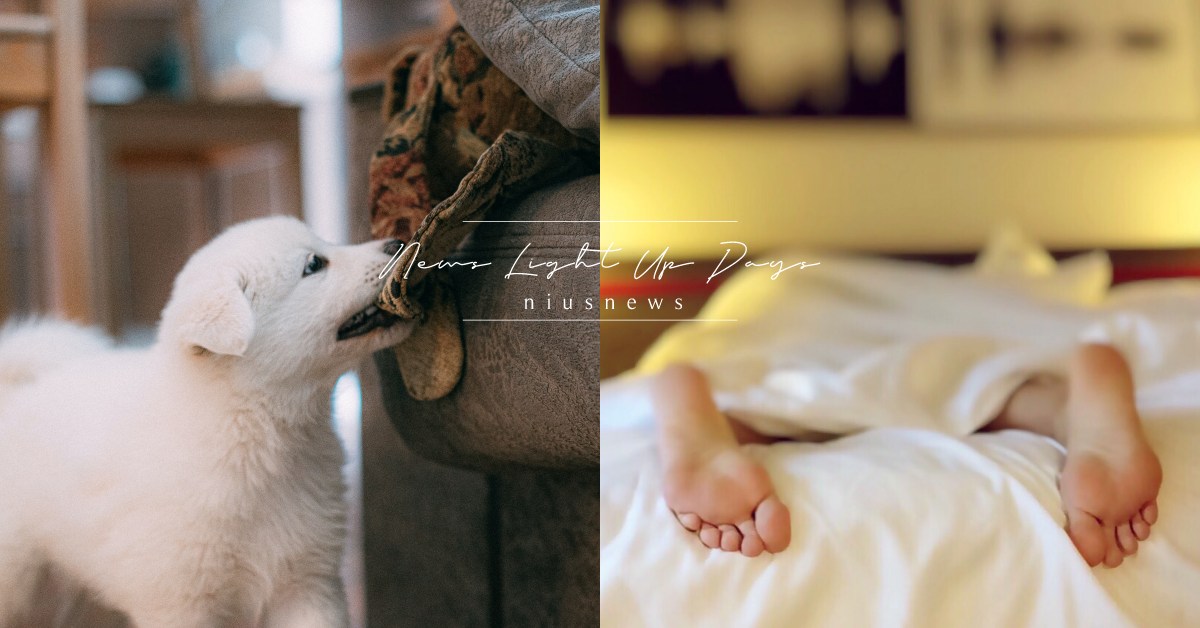 你知道嗎？狗狗會吃掉主人的屍體，其實只是因為牠想叫醒你 冷知識、寵物、狗主人、毛小孩