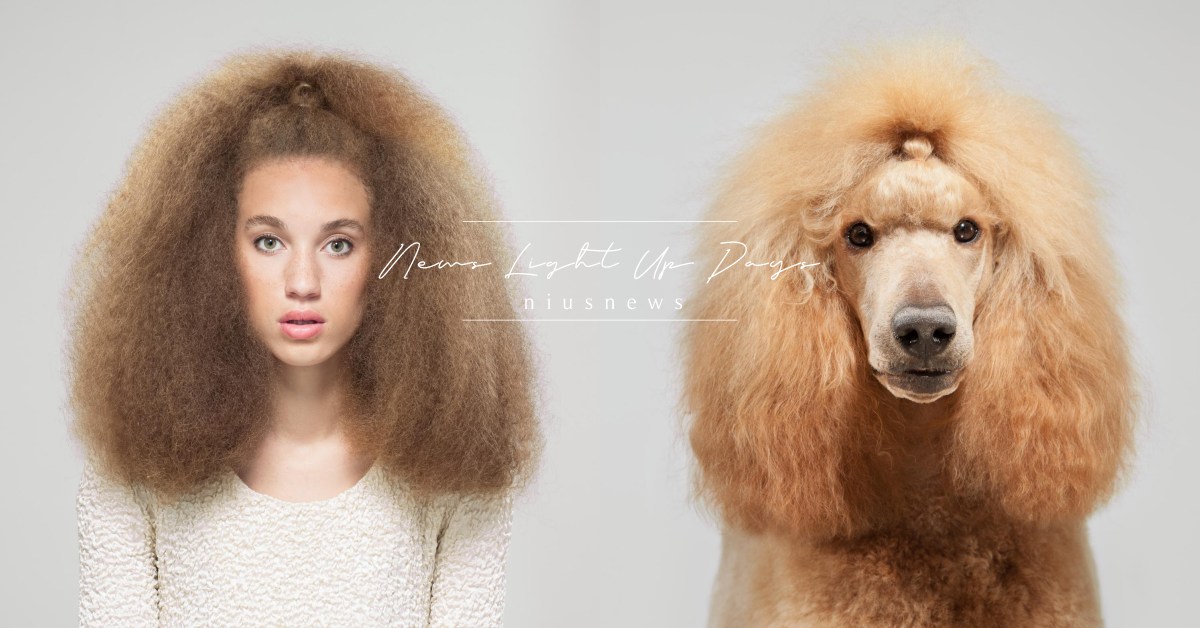 你知道嗎？狗主人真的會和狗狗愈長愈像喔 冷知識、 寵物、 犬、 毛小孩