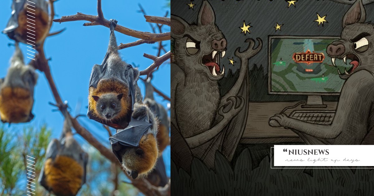 你知道嗎？蝙蝠間的對話幾乎都是在吵架喔 冷知識、公主、語言