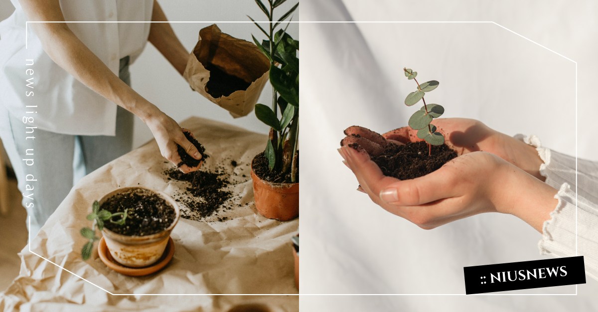 你知道嗎？吃土不完全是壞事喔 冷知識、 食土癖、 月底、 吃土當吃補