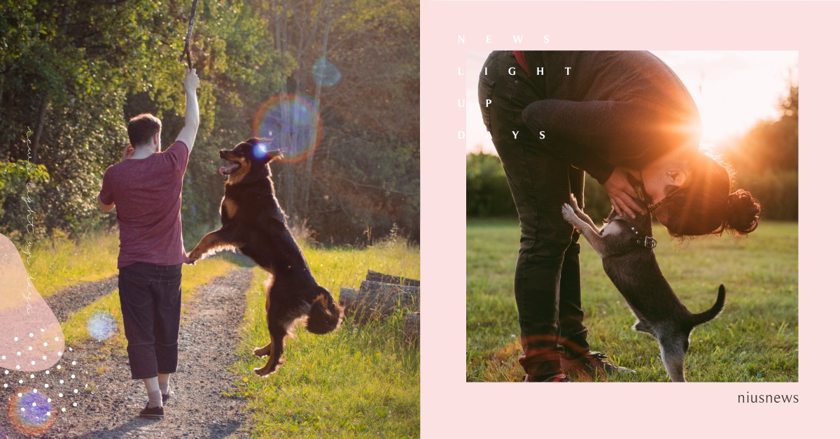 你知道嗎？狗狗在看到主人時，大腦反應跟戀愛很像喔 冷知識、 催產素、 腦神經、 毛孩