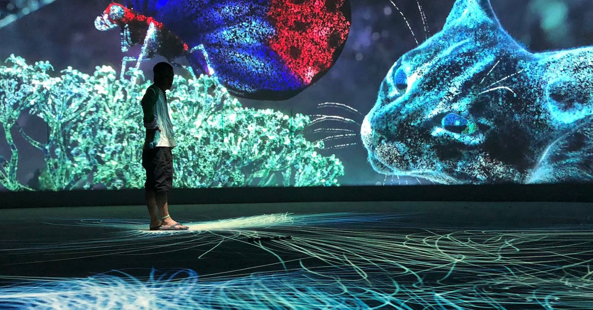 台中人終於挺起胸部跨大步！2018花博讓世界都看到台中的好！ 花博、台中花博、台中、外埔園區、彩虹眷村、柳川、花、烏日、豐原、后里、竹跡館、葫蘆墩公園、星光票、宇宙