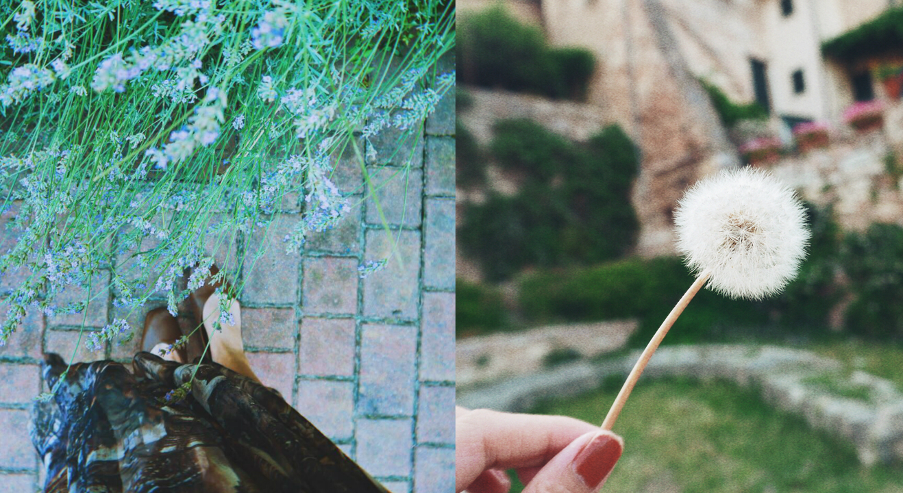 跟著花藝店主一起遊覽義大利唯美花城和迷人角落 義大利 、  歐洲 、  花店