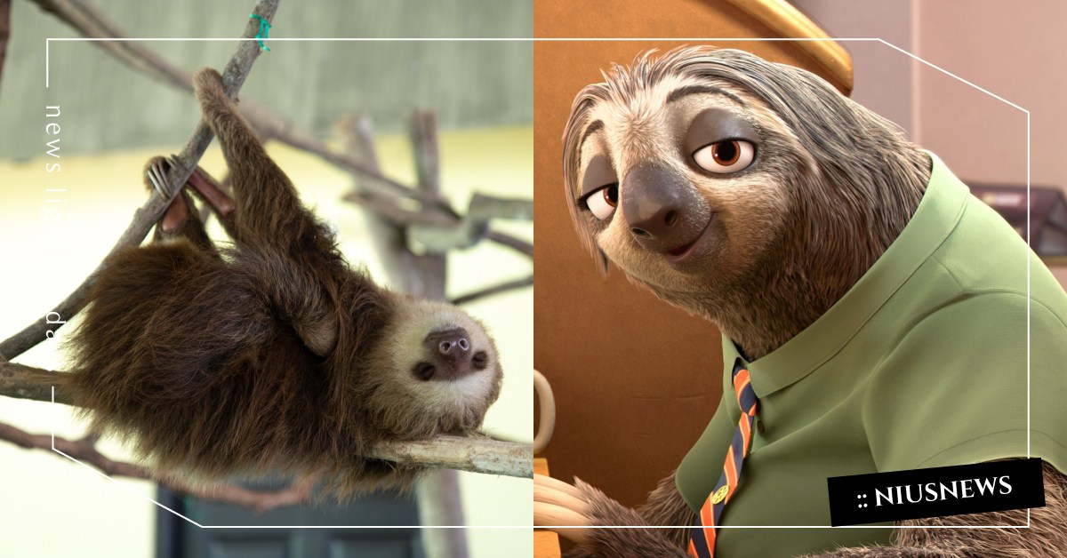 你知道嗎？樹懶能從嘴巴放屁喔 冷知識、 腸胃、 講屁話、 