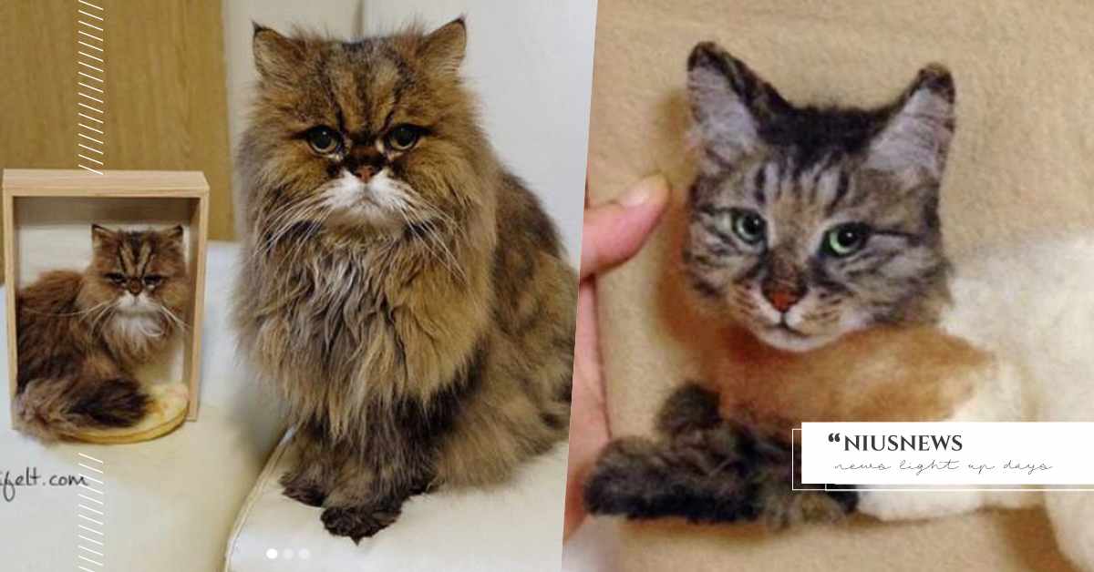 真假貓咪傻傻分不清楚？ 超逼真羊毛氈藝術，貓奴們分辨得出來嗎？ 羊毛氈、製作、日本、擬真、貓、Hinali、ヒナリ