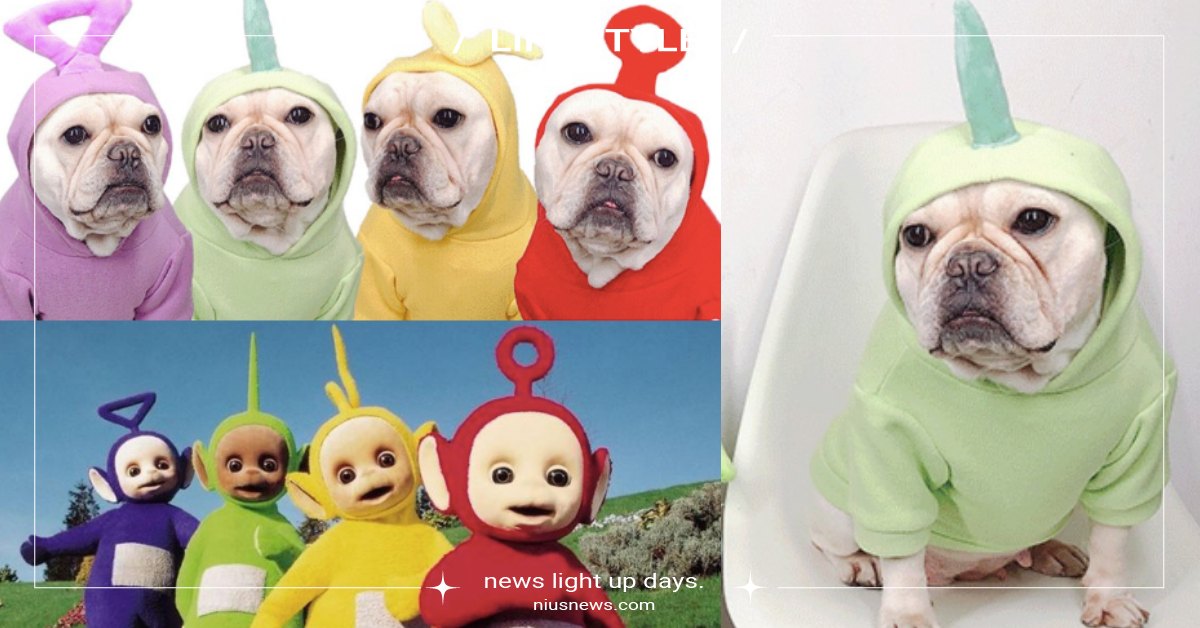 4款「毛小孩天線寶寶帽踢」！再兇的狗穿上都變呆萌，奴才飼主：我家二哈很需要 天線寶寶、韓國天線寶寶、天線寶寶髮帶、天線寶寶狗衣服、狗衣服、寵物衣服