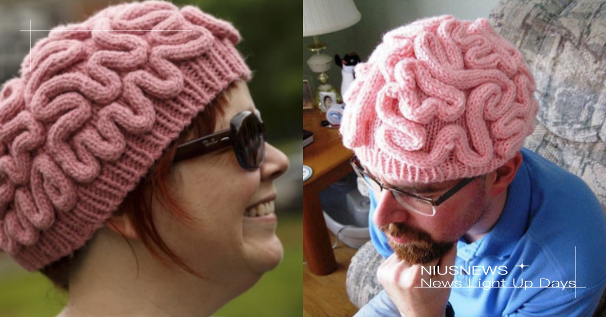 快來領走你的大腦！韓國SNS爆紅的「腦子毛帽」你敢不敢戴 韓國SNS、腦子毛帽、毛帽、獵奇毛帽