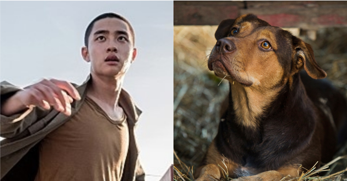 1/7新片速報：口碑爆棚《搖擺男孩》、超萌狗狗電影《為了與你相聚》即將上線！ 搖擺男孩、電影、為了與你相聚、速成家庭、借來的100天、窒息