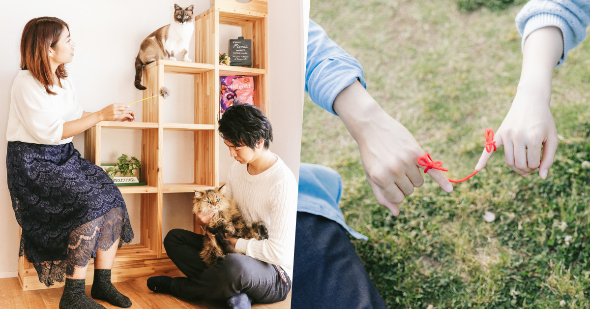 我只想談一場認真的戀愛！女孩這次就主動出擊尋找對的人，邂逅花好月圓的春天吧～ 戀愛、交往、戀人、聯誼、心理測驗