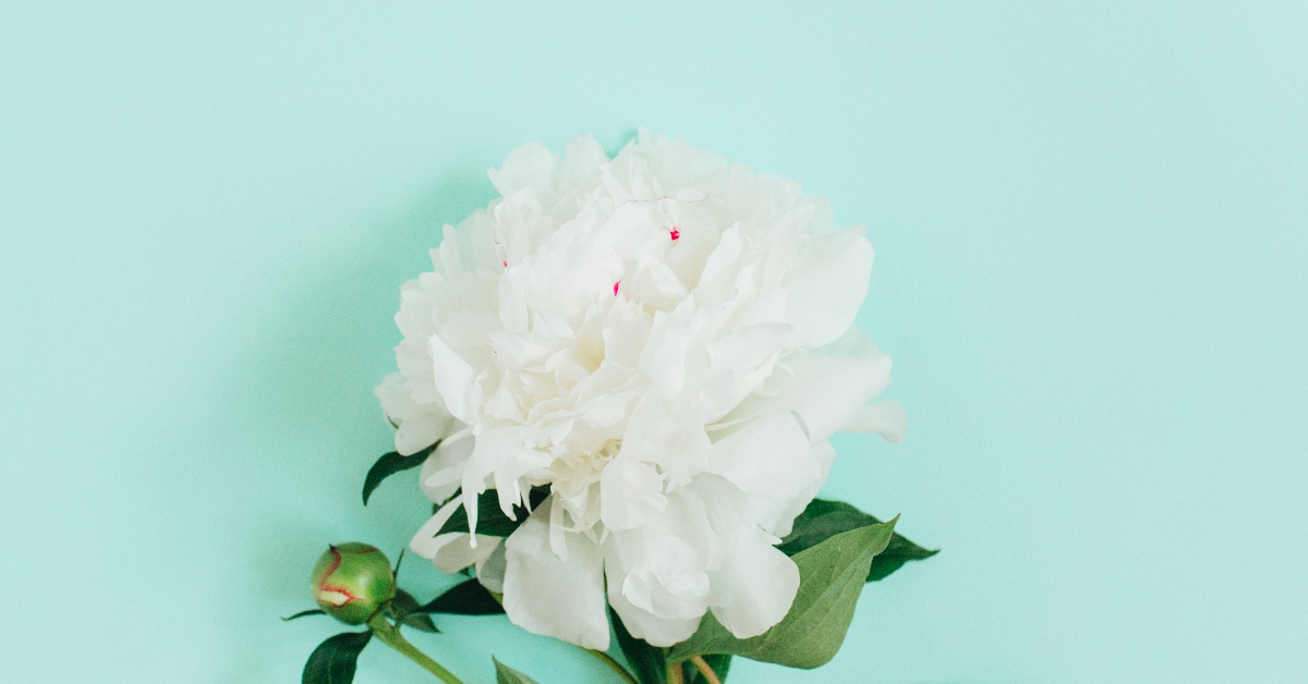 別人沒有在想你──《朵朵小語》書摘轉載  、讀讀書