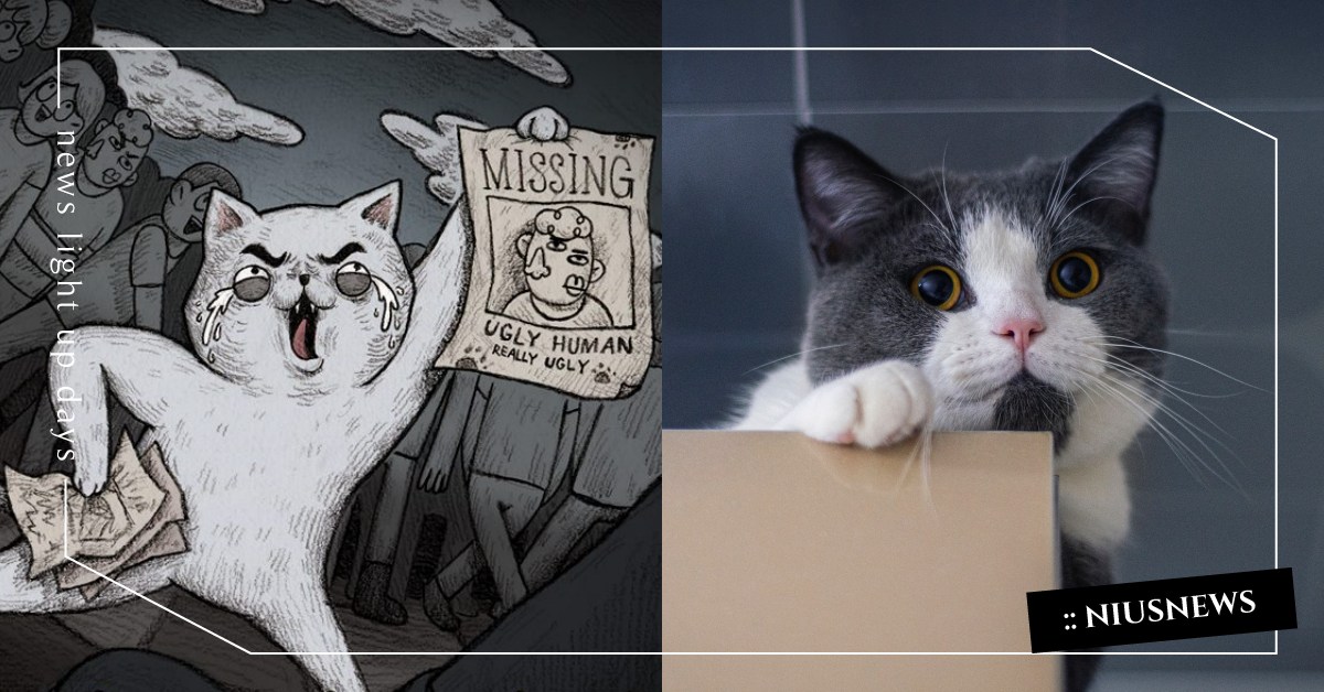 你知道嗎？你家的貓根本不知道你長怎樣 冷知識、 貓咪、 貓奴、 毛小孩