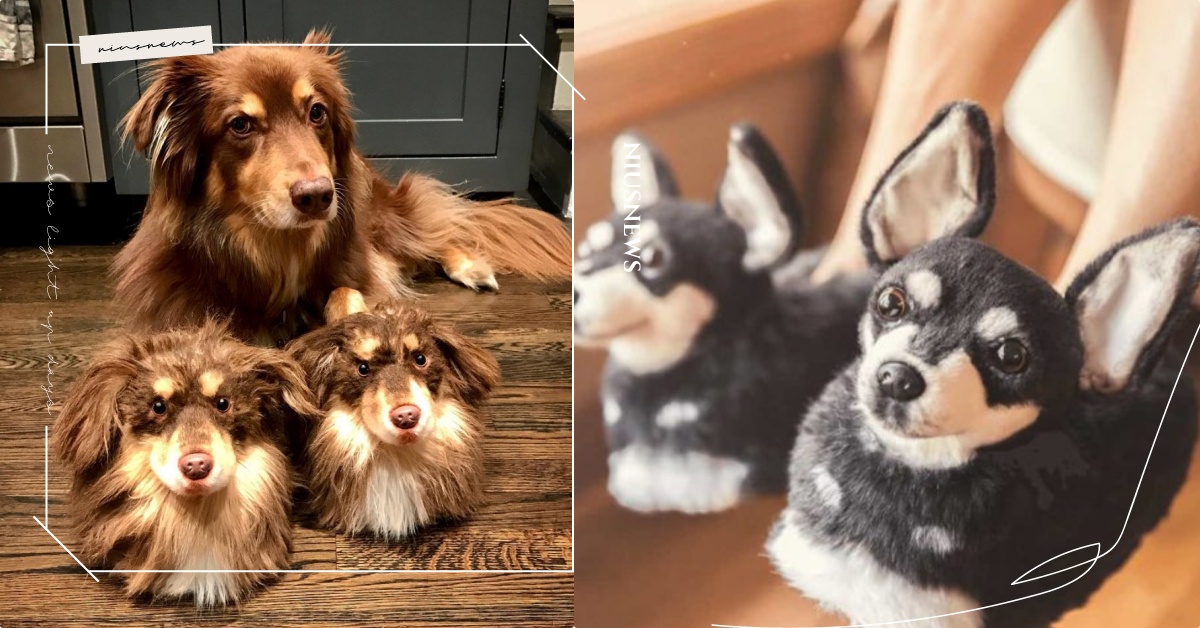 神還原毛小孩變成拖鞋？逼真程度100%「寵物客製商品」連好萊塢女星都淪陷！ CUDDLE CLONES、美國、寵物、客製、商品、擬真、拖鞋、公仔、高爾夫球桿套、馬克杯、玩偶、毯子