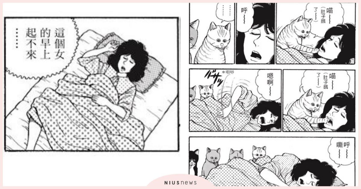 養貓之後不知道什麼叫「睡到自然醒」！漫畫家真實呈現鏟屎官又愛又恨「貓貓鬧鐘」 、讀讀書
