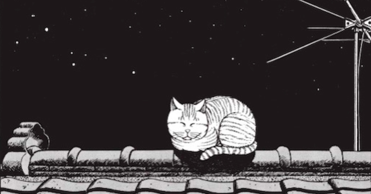 貓奴示範想跟貓主子一起睡覺有多難──《貓咪也瘋狂》35週年漫畫轉載 貓咪也瘋狂、貓咪、貓奴、貓咪漫畫、讀讀書