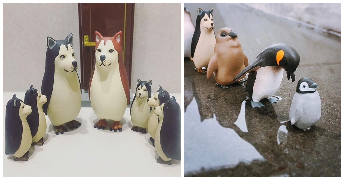 企鵝狗鳥一家日常，來自可愛又獵奇的呆萌狗鳥 | 打翻玩具箱 扭蛋、 狗鳥、 可愛、 療癒、 獵奇