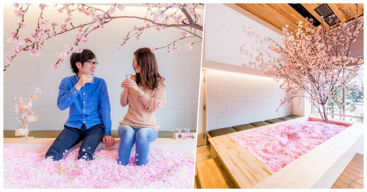 日本「櫻花酒吧」期間限定開幕！在東京表參道的櫻花池來場甜蜜約會吧♡ 櫻花酒吧、日本、櫻花池、櫻花季、草莓.佐賀、東京