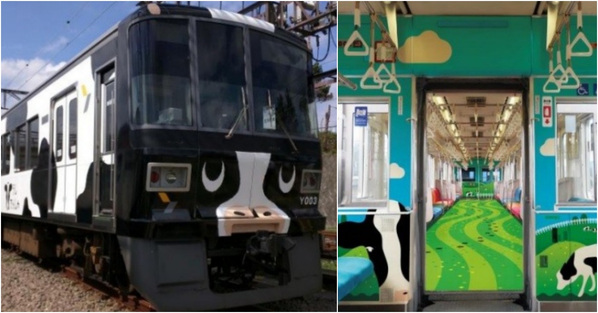 超可愛的乳牛電車內裝全新升級，跟牛牛一起前往雪印兒童之國牧場吧！ 電車、乳牛造型、日本