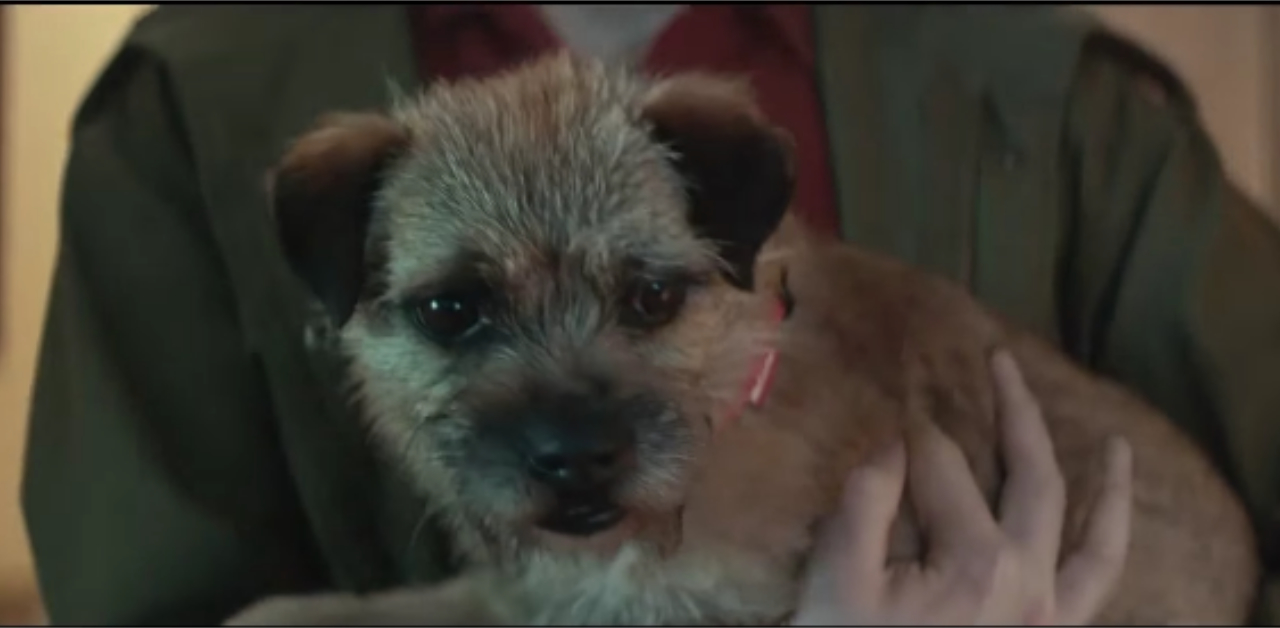 當倒轉時間，美好結局變心碎故事 法國廣告、棄養、心碎、難過、領養不棄養、