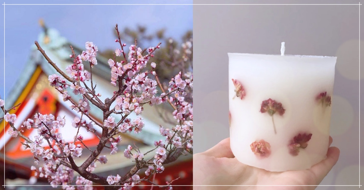 送給自己一趟花×市集的私旅行♫神戶初春賞梅地Top3+手作控可愛雜貨天堂 神戶、梅花、市集、神戶、日本、手作、岡本公園、須磨浦山上遊園、綱敷天満宮、、、