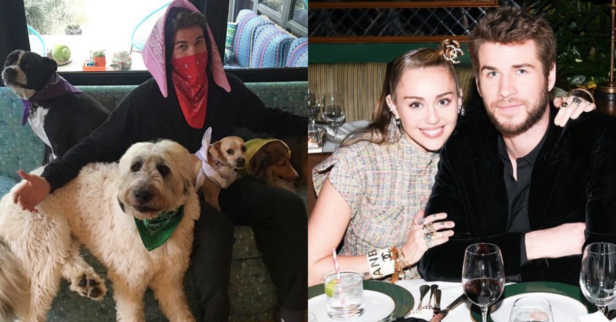 連恩漢斯沃即刻救援！直衝火場救下家中16隻寵物，就是這點讓不婚麥莉點頭嫁！ 連恩漢斯沃、麥莉、結婚、加州大火