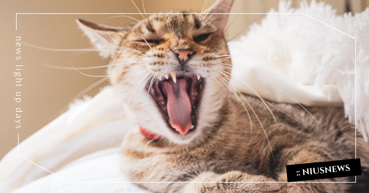 「壓抑情緒」身體會記住，無處可去的憤怒並不會平白消失 憤怒、生氣、情緒管理、被動式攻擊、人際關係、職場、讀讀書