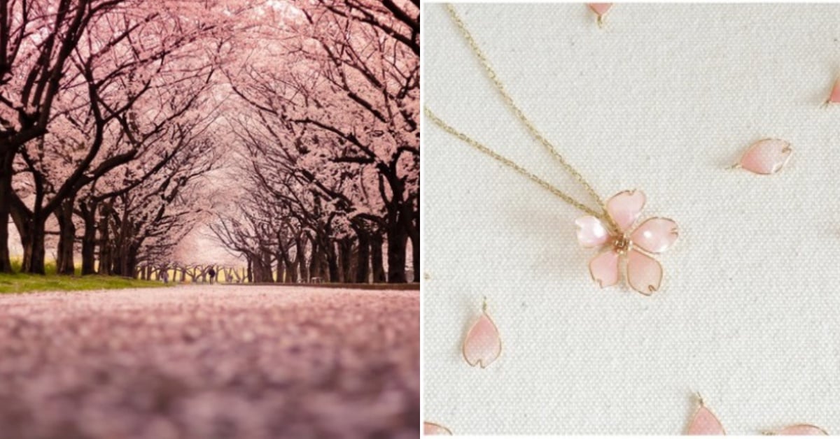 2019 櫻花季即將來襲～帶著花兒逛花季吧！盤點 4 種春天盛開的花們 