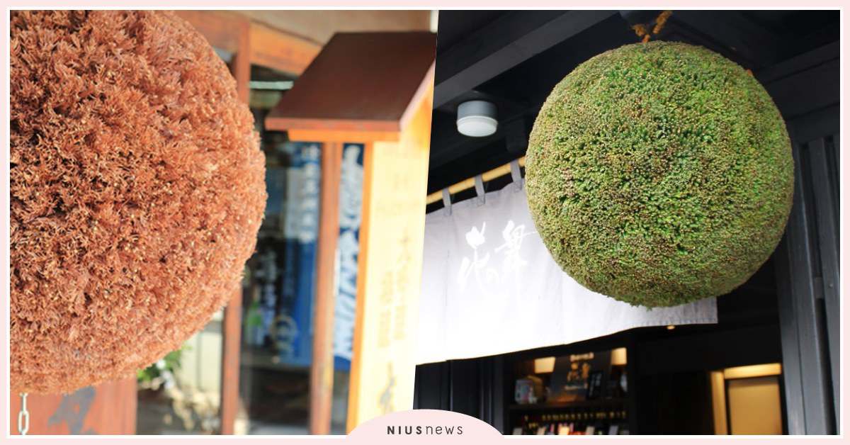 愛喝日本酒的朋友必知！「門口的巨型草球是什麼？」日本釀酒廠冷知識解答 酒酒窩、日本酒、衫玉、日本、釀酒廠、草球、神戶、灘五鄉
