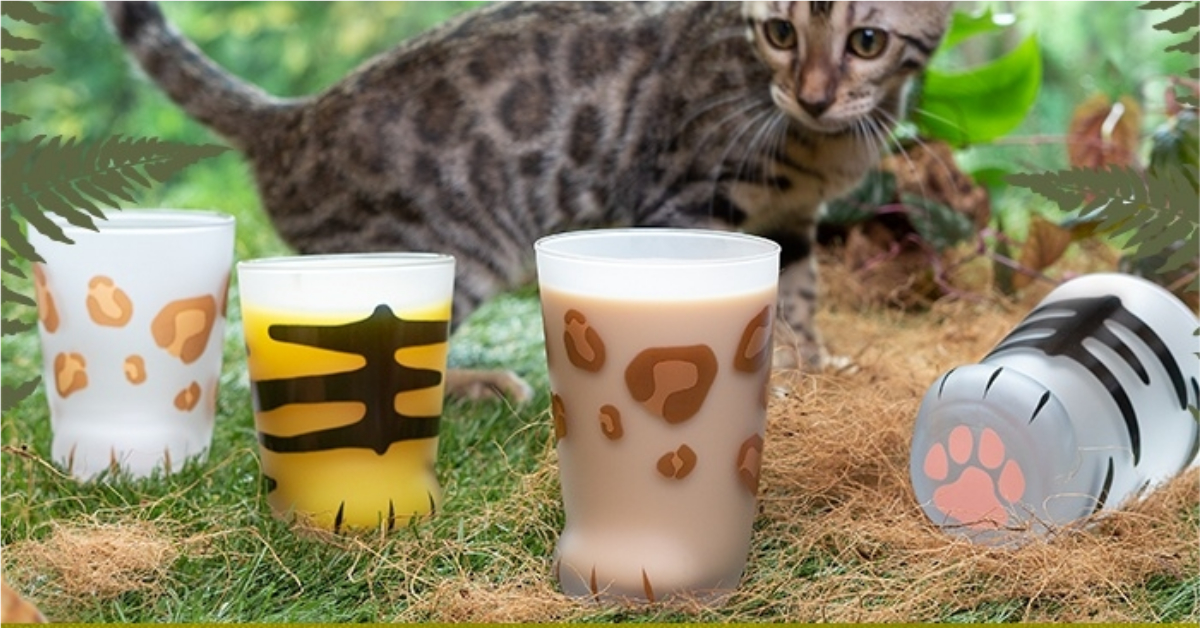 超療癒「貓腳杯」新成員報到！叢林大貓「老虎＆豹」用萌腳丫讓奴才失心瘋 日本、貓腳杯、貓掌、肉球、粉紅色、玻璃杯、貓咪、腳掌、貓科動物、老虎、豹