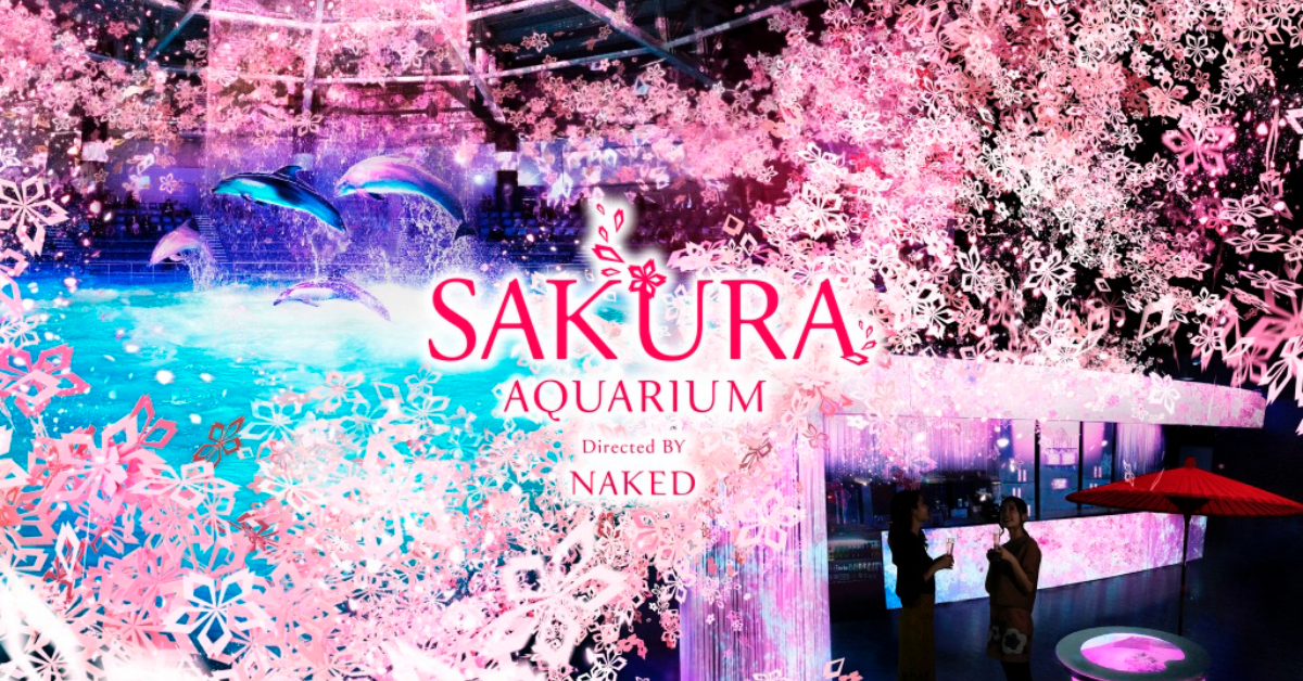 櫻花翩翩飛舞，在水族館賞櫻的另類體驗，東京水族館光雕投影秀浪漫展開中！ 東京、賞櫻、水族館、光雕投影、海豚秀、Maxell Aqua Park 品川、品川、品川王子飯店、NAKED、櫻花、日本自由行