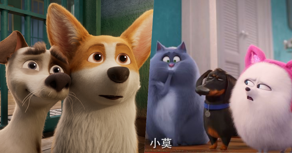 貓狗大戰開打！《女王的柯基》、《寵物當家2》…各路萌寵接力上線！ 動物、電影、小飛象、女王的柯基、驚奇隊長、橘貓、Goose、寵物當家