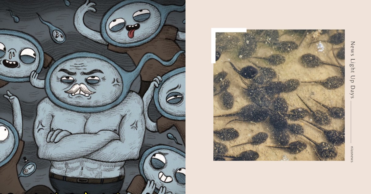 你知道嗎？人類精子真的是一代不如一代喔 冷知識、精子、激素