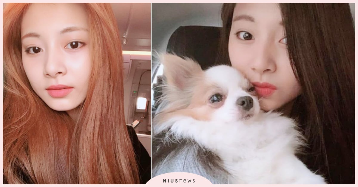 TWICE「子瑜」心裡苦？罕見在IG感性發言！粉絲擔心狂洗版女神嚇到急忙曬美照啦 TWICE、子瑜、TWICE回歸、子瑜寵物、酷吉