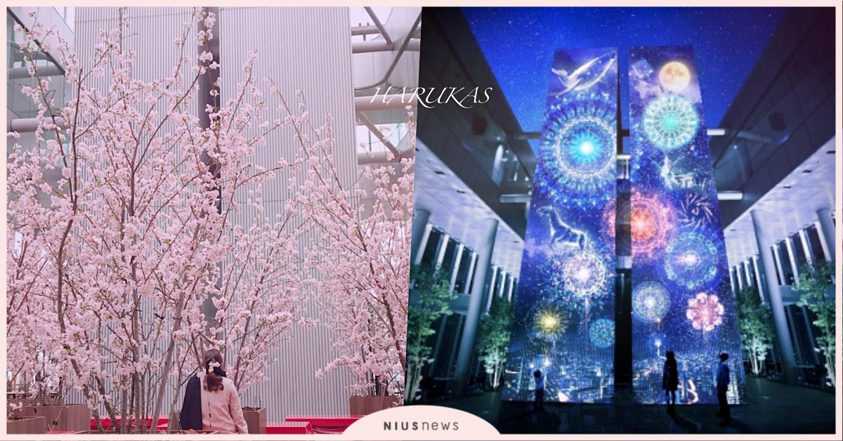 大阪浪漫空中賞花&互動式光雕投影，還有粉櫻限定甜品♫近鐵百貨＋阿倍野6tips 大阪、近鐵百貨、阿倍野、一日旅、指南、日本、關西、櫻花、春天、空中賞花、夜間光雕投影、甜點、蛋糕、浪漫、愛玩妞直擊