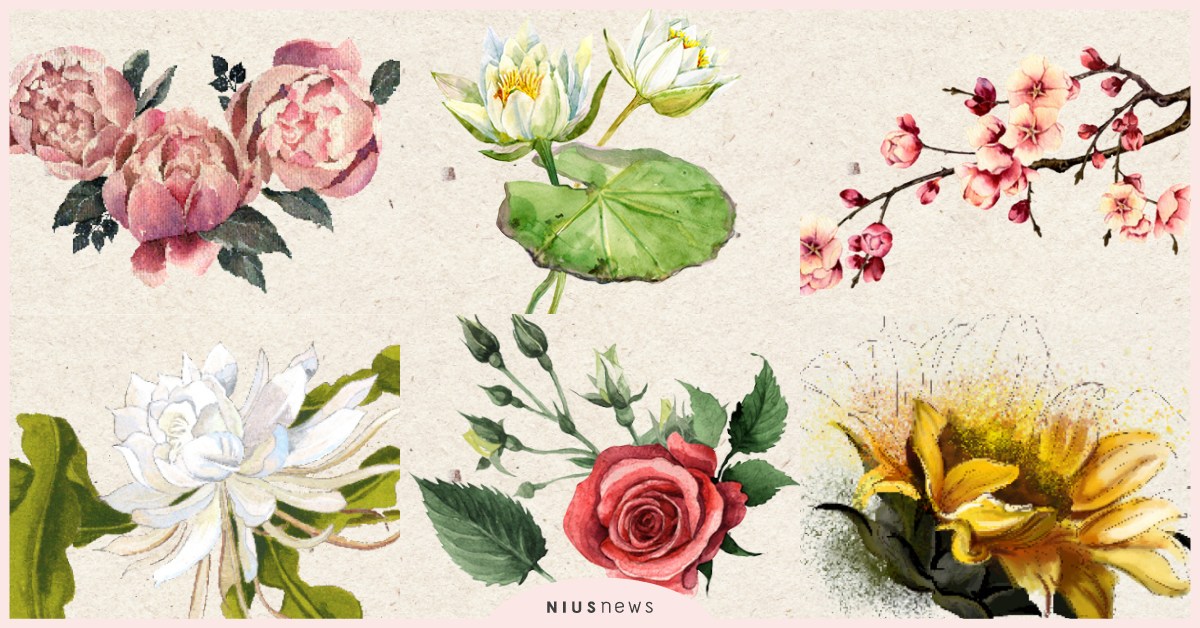 憑直覺選擇一朵花，測出你的愛情觀！「這種花」敢愛敢恨，美麗只為一人盛開 心測、花、愛情、愛情觀、匣心記