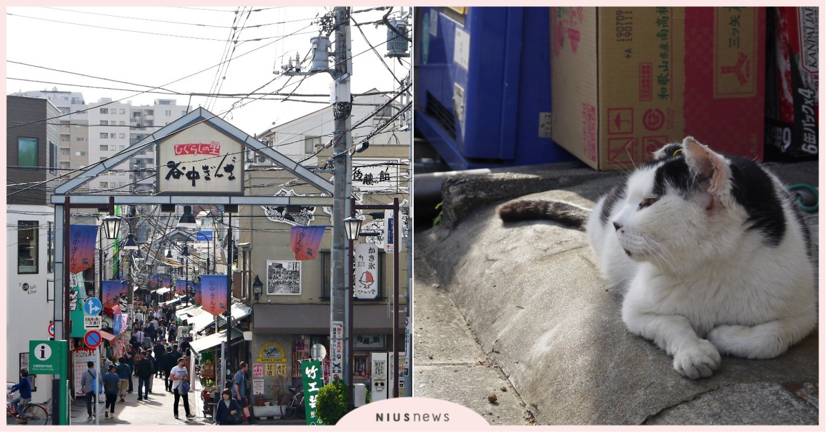 貓咪、美食、懷舊風，到谷根千來趟東京下町散步吧！ 東京自由行、東京散步、谷根千、谷中銀座商店街、根津神社