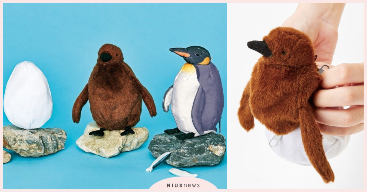 太犯規！買一隻Get三隻「企鵝成長史」讓你在家體驗孵蛋養育企鵝的樂趣♡ 企鵝、企鵝成長史、玩偶、日本、YOU+MORE、大阪海遊館