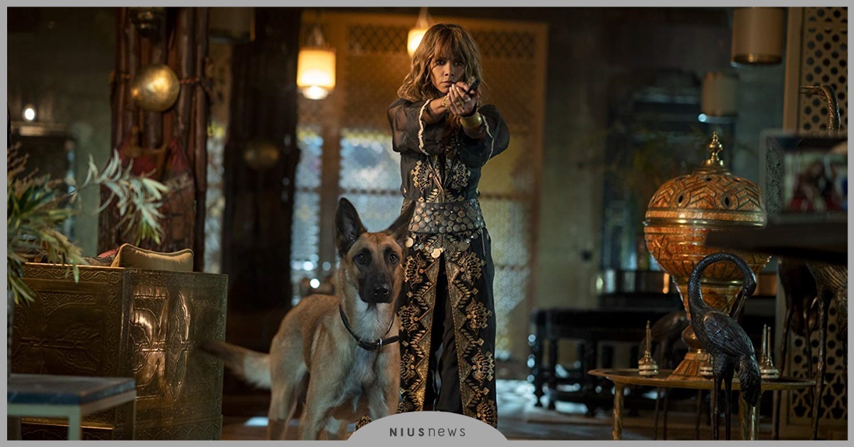 《捍衛任務3：全面開戰》 基努李維再穿西裝繼續耍帥 狗、 續集、 第三集、 追捕、 為過去所苦、基努李維