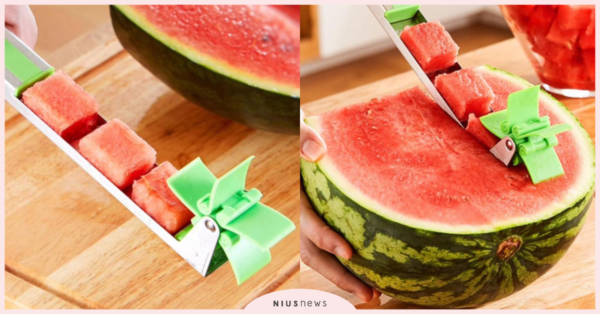 夏季懶人必備！韓國SNS爆紅神器「西瓜切片機」家裡很需要啊 西瓜切片機、夏天西瓜、韓國西瓜切片機、韓國SNS爆紅、