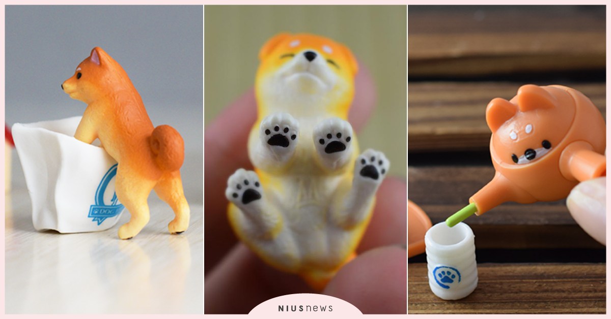 「柴犬廚房」不只可愛還能用來玩扮家家酒！三款「柴柴系列扭蛋」療癒奉上 日本、扭蛋、Epoch、柴犬、扭蛋、廚房、擺飾、扮家家酒、可愛、療癒