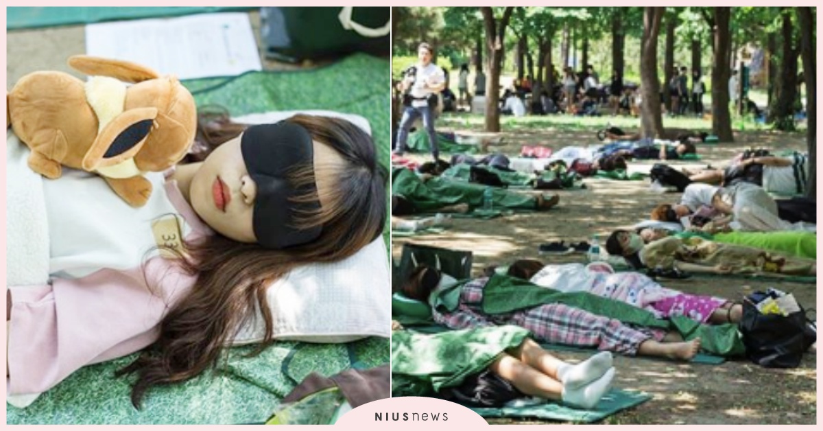 睡最爽拿獎金？韓國居然舉辦「午睡大賽」，準備好你的枕頭躺好我們夢中PK！ 午睡大賽、睡覺大賽、韓國睡覺比賽、꿀잠대회