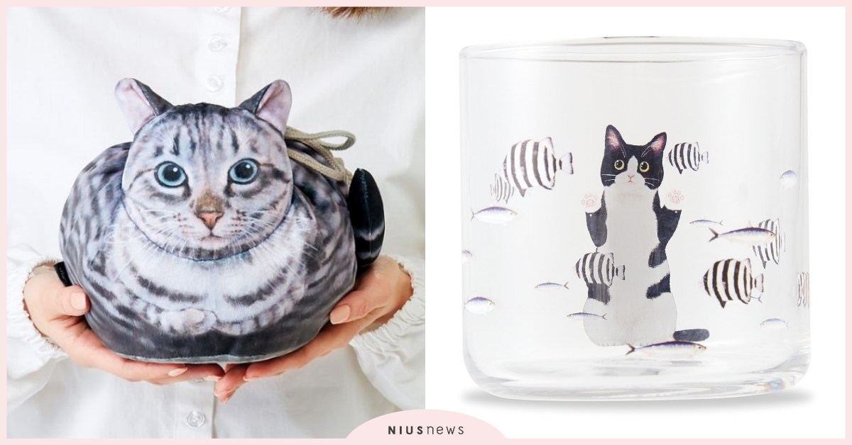 日本貓部「貓咪茶巾包＆玻璃杯」萌登場！杯身上貓咪「認真看魚」的模樣融化奴才心♡ 日本、felissimo、貓咪、茶巾包、烤雞臥、玻璃杯、看魚、可愛、療癒