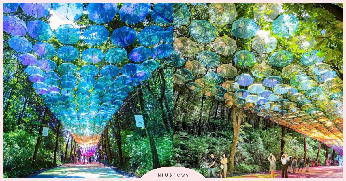 探訪日本夢幻玻璃傘秘境♡在和煦的夏日午後來場文青之旅吧！ 日本、梅雨、傘、秘境、文青、夏日