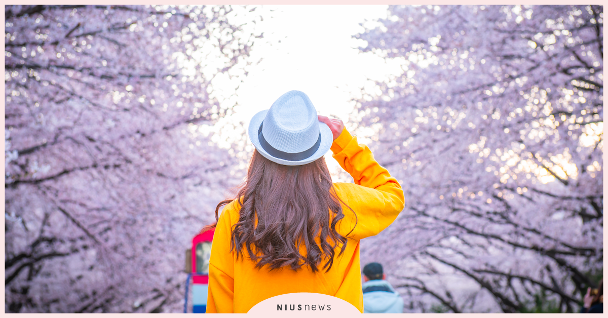 超實用拍照技巧不藏私！IG最夯花海美照～拍照姿勢、花海穿搭攻略 拍照技巧、IG