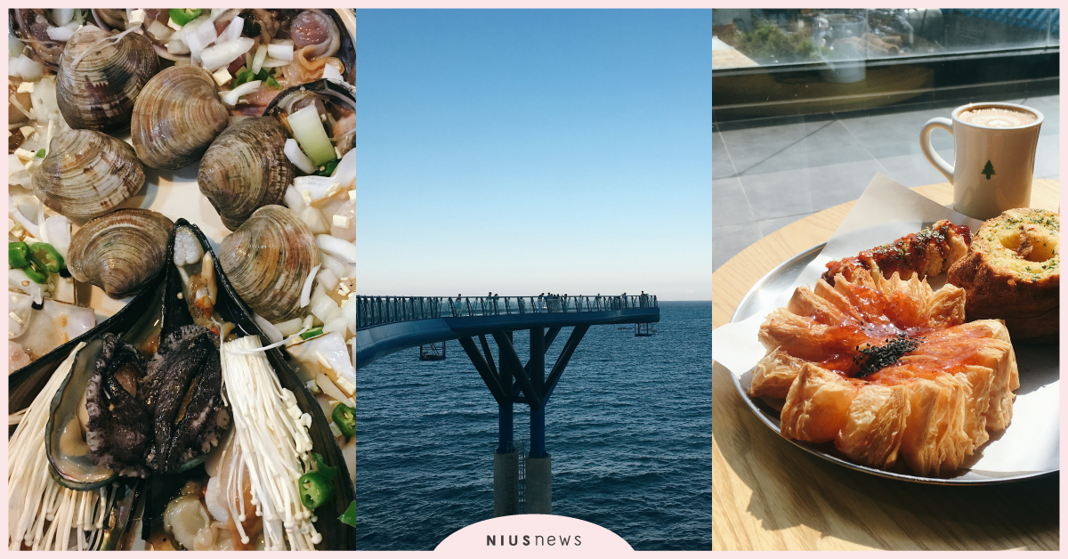 釜山在地人這樣玩！編輯不藏私大公開2019年釜山必玩景點＋必吃美食 2019年釜山自由行、2019釜山必去景點、2019年釜山必吃美食、釜山咖啡廳、F1963、福順導家복순도가、釜山影島大橋、다솥맛집、秀敏家炭火烤蛤蠣수민이네、Hayden Café헤이든、九頭山竹林아홉산숲、青沙浦墊腳石展望台청사포 다릿돌 전망대、太宗台繡球花、Yisol工坊이솔공방、釜山觀光公社、台灣虎航、新山茶花號、佐賀縣觀光聯盟