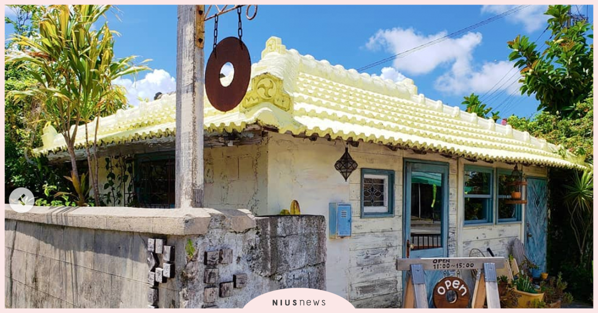 沖繩「島甜甜圈」號稱宇宙前三名好吃甜甜圈！妞妞們可以訂機票啦～ 沖繩、甜點、甜甜圈