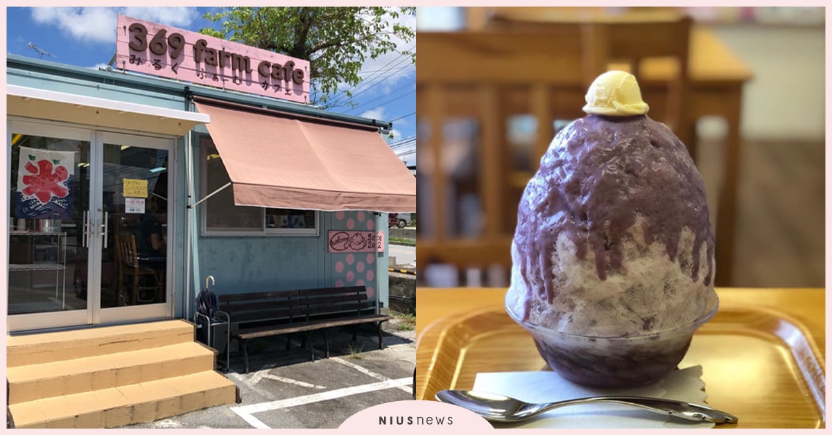 沖繩超人氣限定版紫薯剉冰！！新鮮果泥淋上～綿密到入口即化一口接一口♡ 沖繩美食、紫薯剉冰、名護市