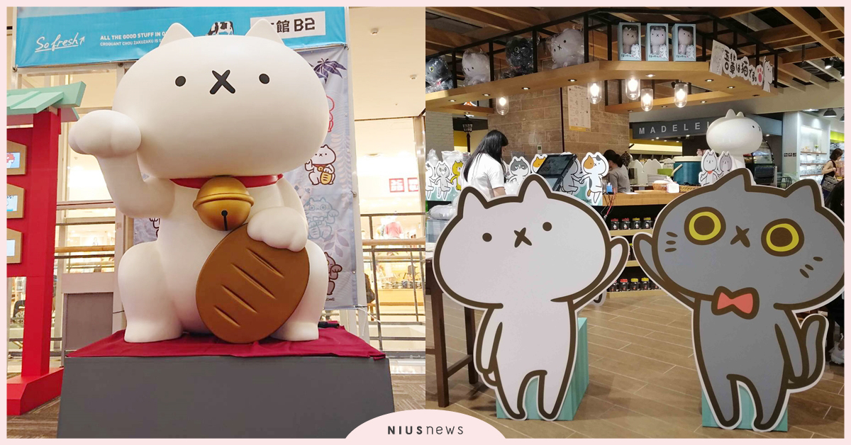 「反應過激的貓」降落台灣啦！貓貓主題咖啡廳、2公尺巨大招財貓變身超可愛打卡點 反應過激的貓、板橋美食、板橋環球車站、反應過激的貓咖啡廳、板橋網美打卡點、招財貓